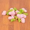 Resin Cabochons CRES-B3049-A118-3