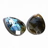 Natural Labradorite Pendants PW-WGF49F5-05-1