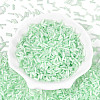 Glass Bugle Beads SEED-N007-28G-2