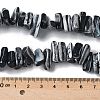 Dyed Natural Trochus Shell Beads Strands SSHEL-C013-09A-4
