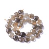 Natural Black Sunstone Beads Strands G-L492-06C-06C-3