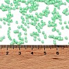 Baking Paint Glass Seed Beads X-SEED-S042-05B-59-4