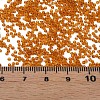 15/0 Transparent Czech Glass Seed Beads SEED-N004-004-17-6