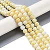 Baking Paint Glass Bead Strands GLAA-H031-01B-03-2