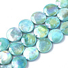 Freshwater Shell Beads Strands SHEL-S274-52A-1