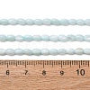 Dyed Natural Freshwater Shell Beads Strands SH-CBA2978-06C-4