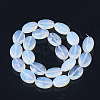 Opalite Beads Strands G-S292-55-2