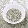 MIYUKI Delica Beads SEED-MY11-DB0383-2