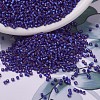 MIYUKI Delica Beads SEED-X0054-DB0696-1