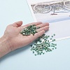6/0 Glass Seed Beads SEED-YW0001-25F-7