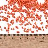 Baking Paint Glass Seed Beads X-SEED-S042-05B-84-4