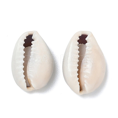Natural Cowrie Shell Beads LS-X-BSHE-O007-73-1