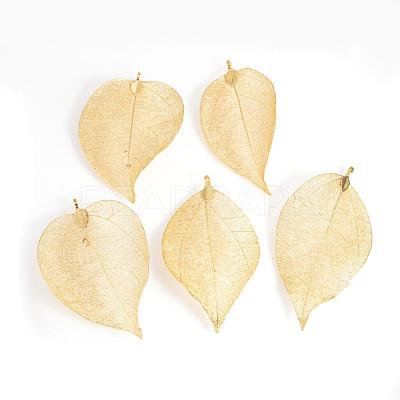 Electroplated Natural Leaf Big Pendants IFIN-Q119-02J-1
