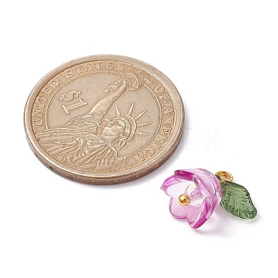 Transparent Acrylic Beads Pendants PALLOY-JF02432-1