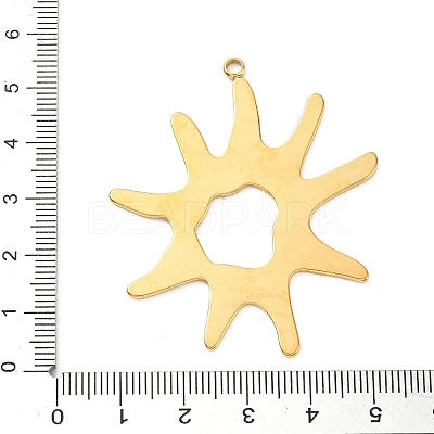 304 Stainless Steel Big Pendants STAS-C144-01C-G-1