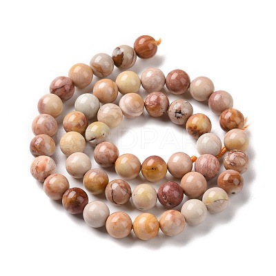 Natural Agate Beads Strands G-C238-03B-1