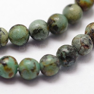 Natural African Turquoise(Jasper) Beads Strands G-N0188-02-2mm-1
