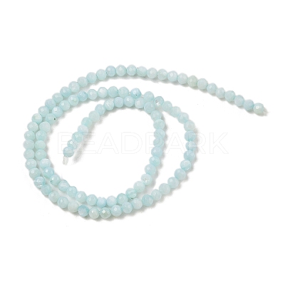 Natural Freshwater Shell Dyed Beads Strands SHEL-R100-12A-02-1