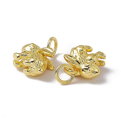 Rack Plating Brass Charms KK-C007-17G-1