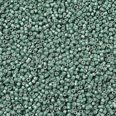 MIYUKI Delica Beads X-SEED-J020-DB1171-1