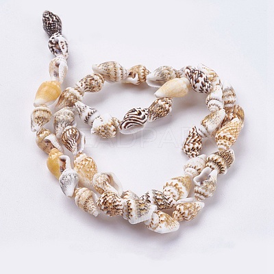 Natural Sea Shell Beads Strands BSHE-K012-07-1