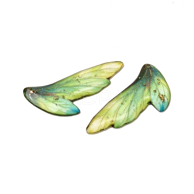 2Pcs Transparent Epoxy Resin Pendants RESI-A044-05A-1