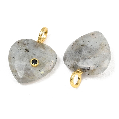 Natural Labradorite Pendants G-D104-01G-10-1