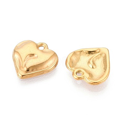 304 Stainless Steel Charms STAS-T065-24B-G-1