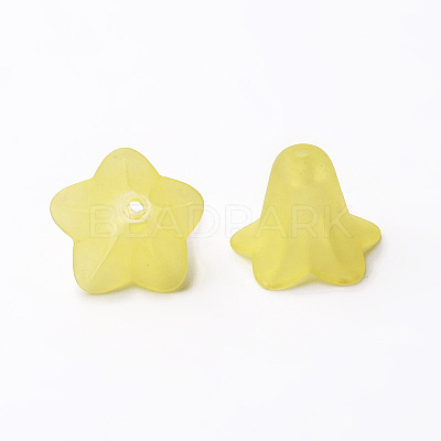 Transparent Acrylic Beads X-PLF018-19-1