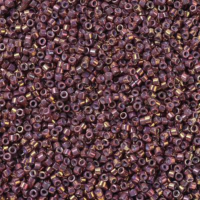 MIYUKI Delica Beads X-SEED-J020-DB1013-1