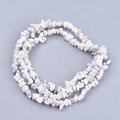 Natural Howlite Stone Bead Strands G-R192-15-1