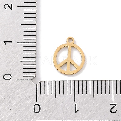 304 Stainless Steel Charms STAS-K286-01B-G-1