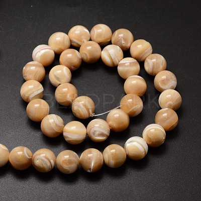 Natural Sea Shell Beads Strands SSHEL-K013-12mm-B-1