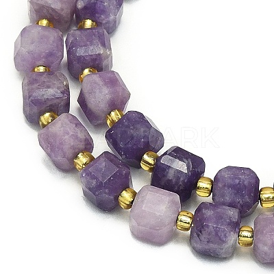 Natural Lepidolite/Purple Mica Stone Beads Strand G-I376-D34-01-1