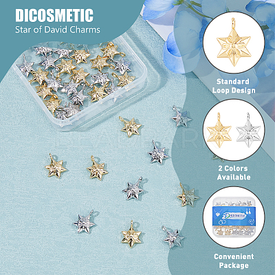 40Pcs 2 Colors Alloy Pendants FIND-DC0005-50-1
