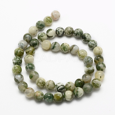 Natural Tree Agate Beads Strands G-G735-02-8mm-1