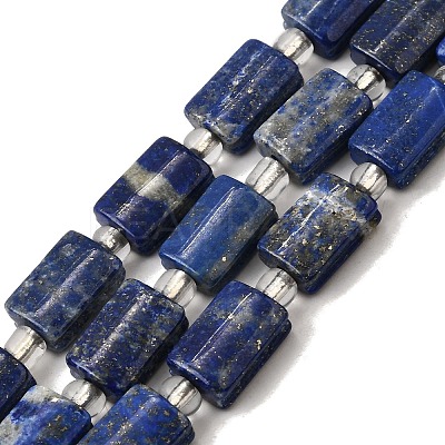 Natural Lapis Lazuli Beads Strands G-Z087-C01-1