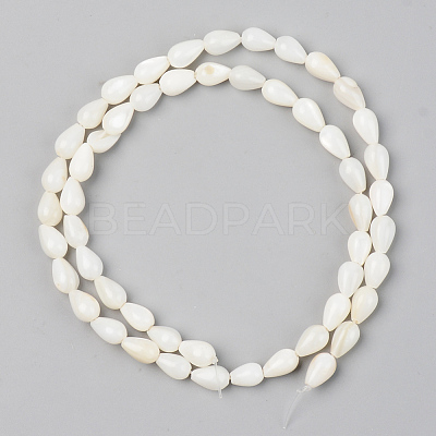 Natural Freshwater Shell Beads Strands SSHEL-R048-007B-1