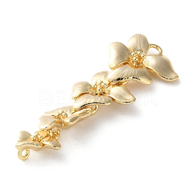 Brass Connector Charms LS-KK-S513-02C-G-1