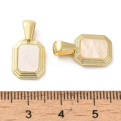 Acrylic Pendants PALLOY-P303-16G-1