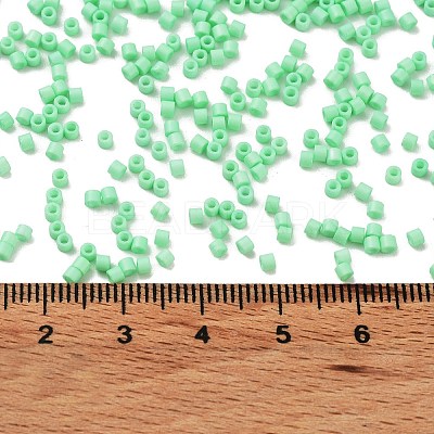 Baking Paint Glass Seed Beads X-SEED-S042-05B-59-1