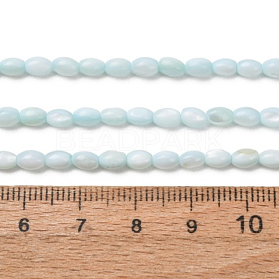 Dyed Natural Freshwater Shell Beads Strands SH-CBA2978-06C-1