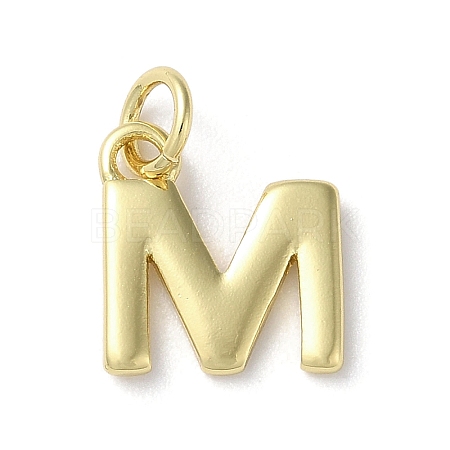Rack Plating Brass Charms KK-P245-06G-M-1