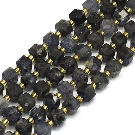 Natural Iolite Beads Strand G-I376-D60-01-1