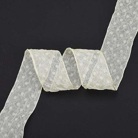 20 Yards Polyester Mesh Ribbon SRIB-P021-E06-1