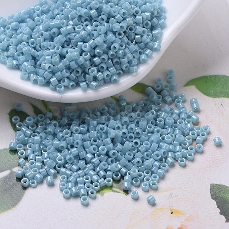 MIYUKI Delica Beads X-SEED-J020-DB0218-1