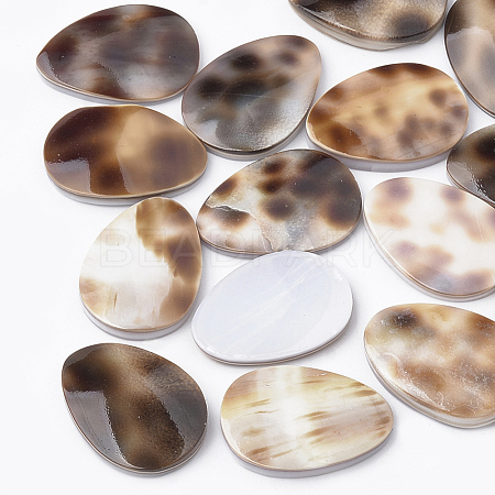 Tiger Cowrie Shell Cabochons X-SSHEL-S258-22-1
