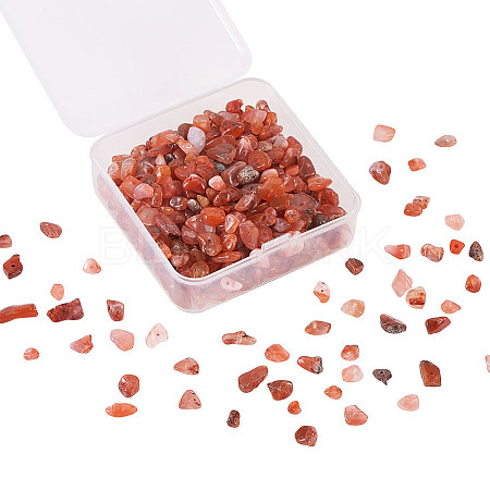 Natural Red Agate Beads G-CJ0001-16-1