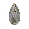 Natural Labradorite Pendants PW-WGD145F-07-1