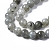 Natural Labradorite Round Beads Strands G-S158-6mm-3